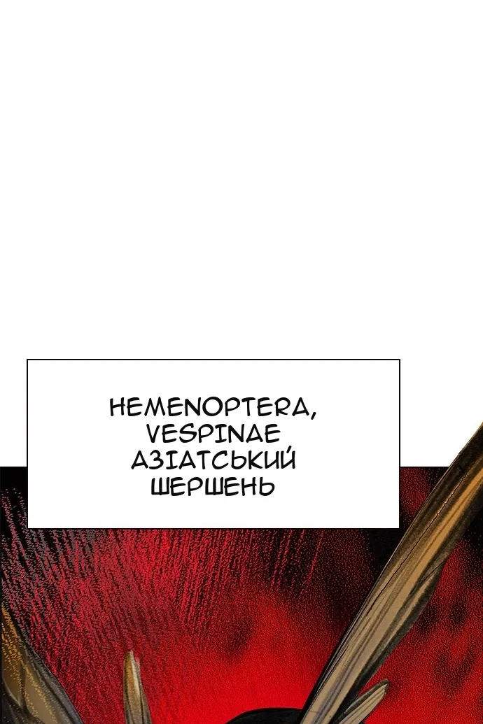 Сторінка 32