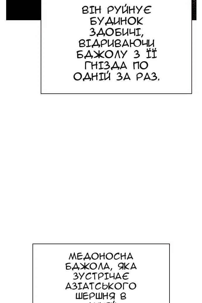 Сторінка 37