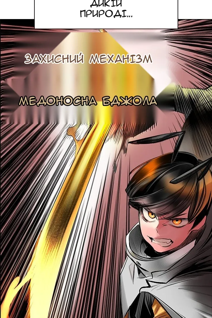 Сторінка 38