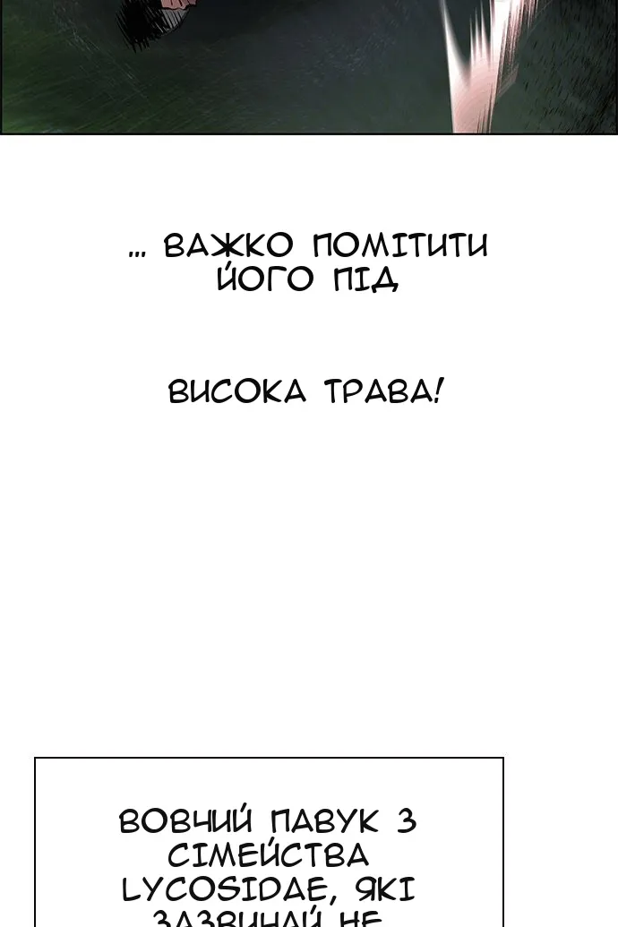 Сторінка 113