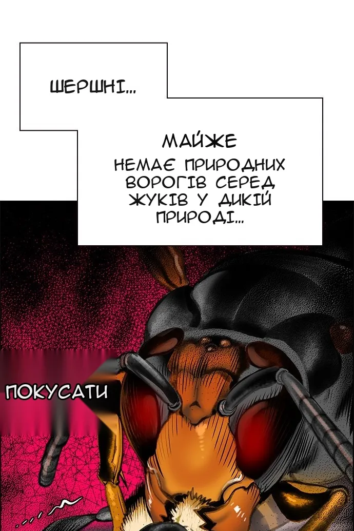 Сторінка 206