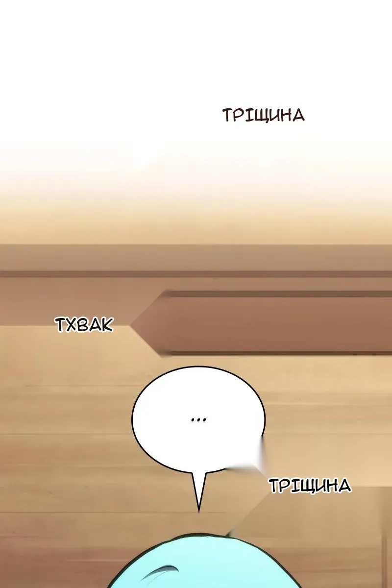 Сторінка 29