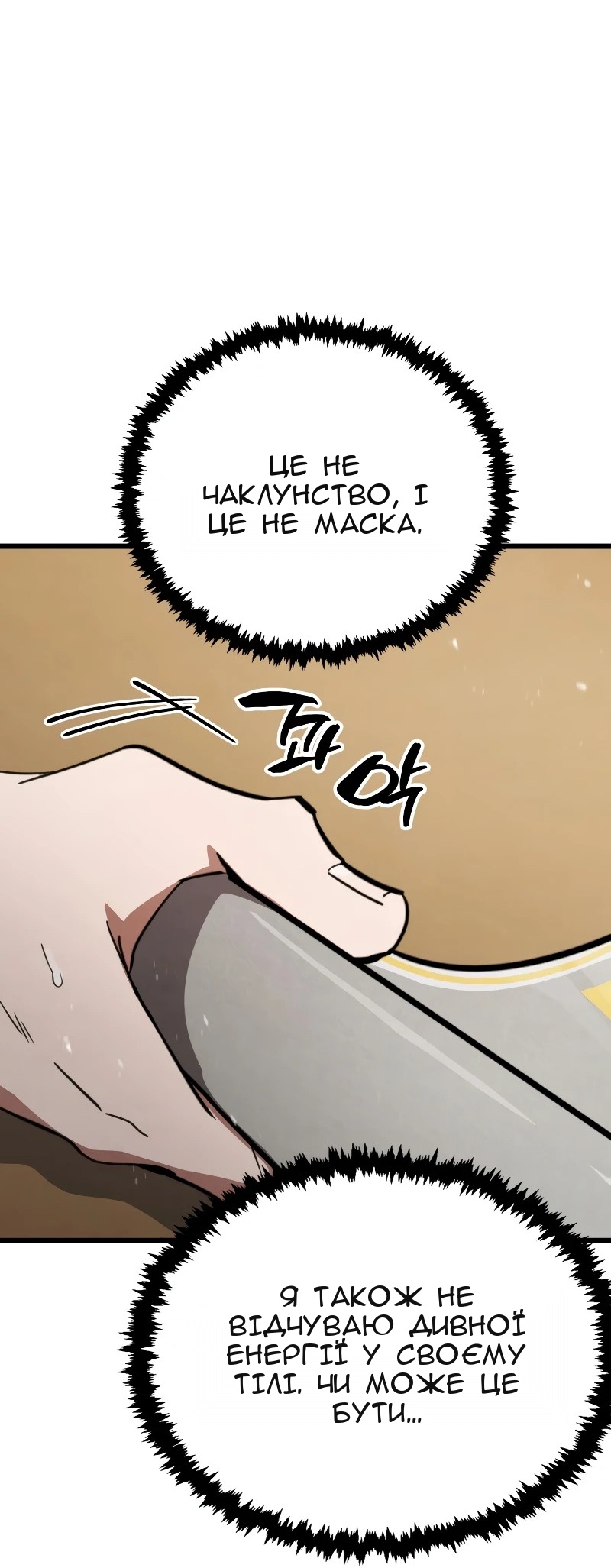 Сторінка 115