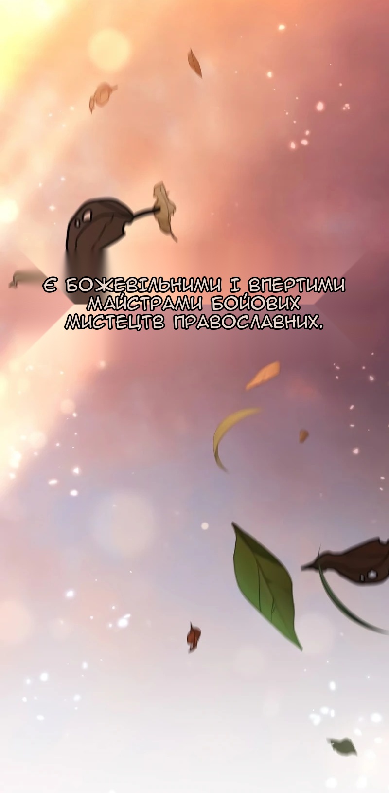 Сторінка 13