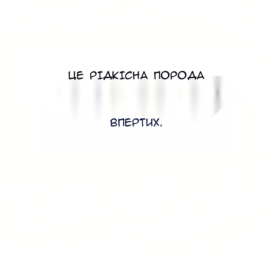 Сторінка 139