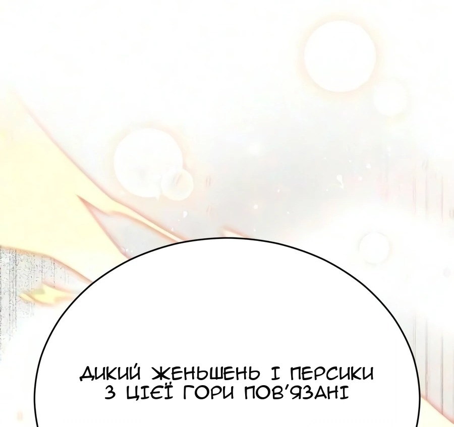 Сторінка 13