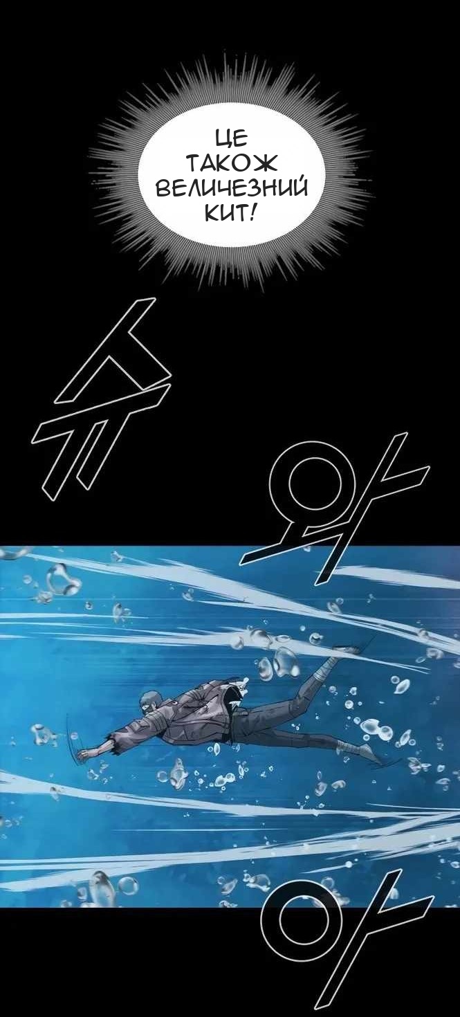 Сторінка 47