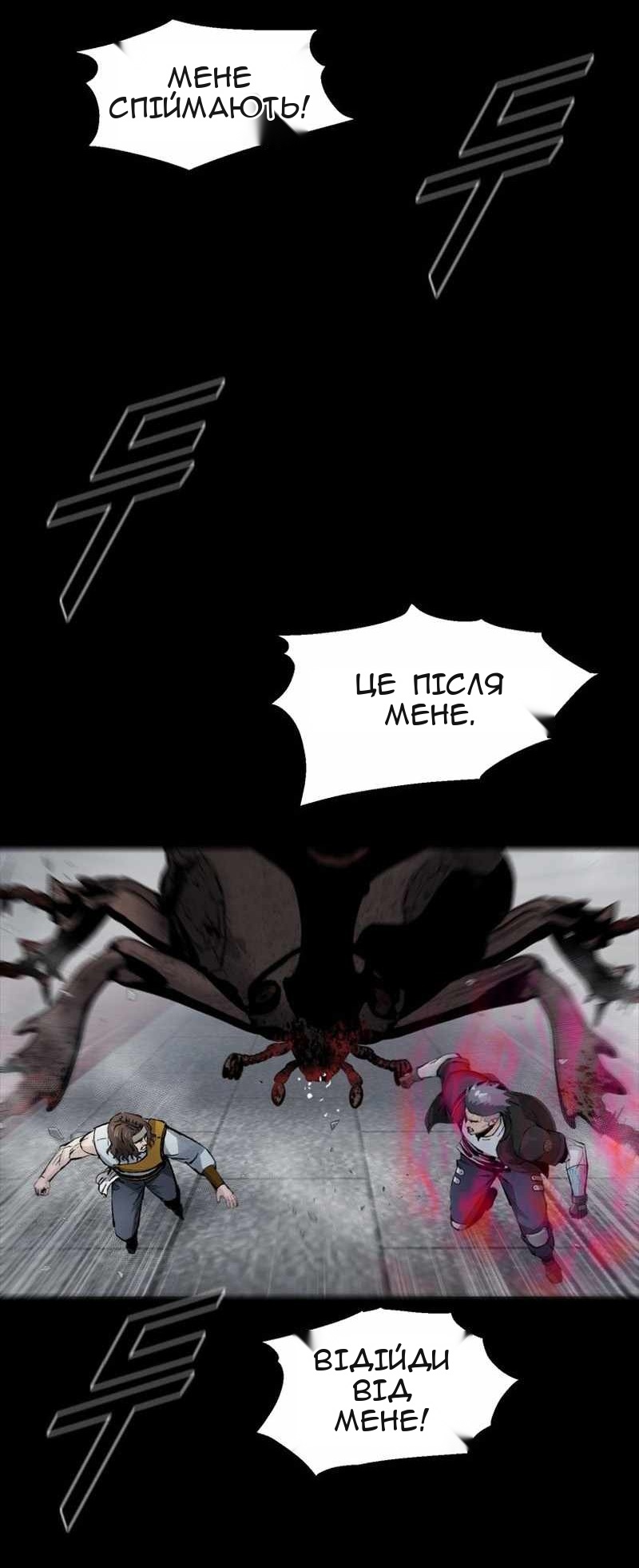 Сторінка 5