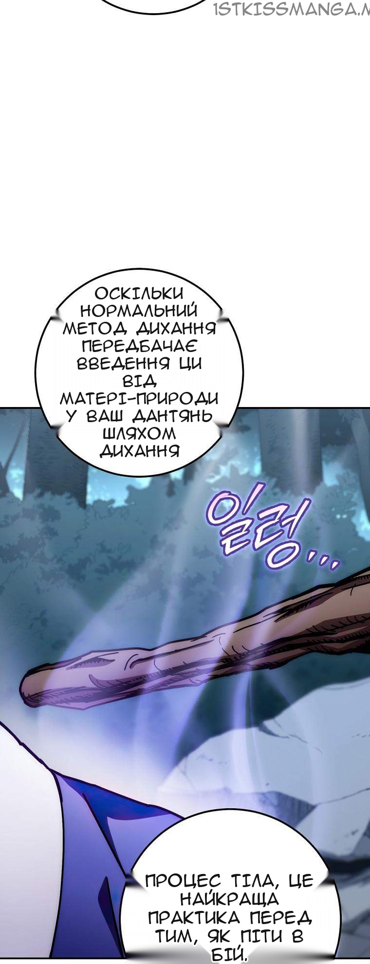 Сторінка 29