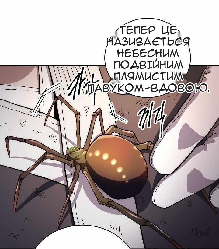 Сторінка 28