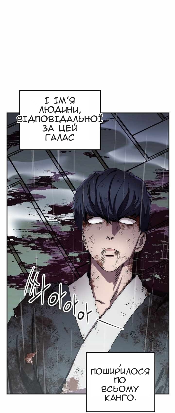 Сторінка 29