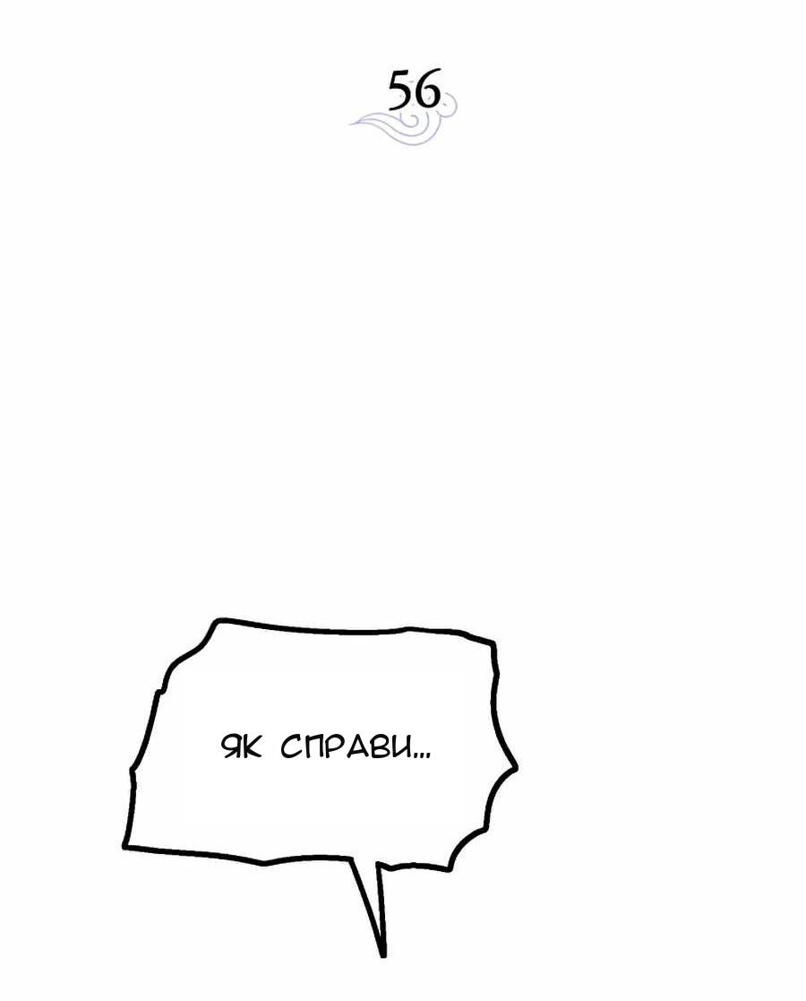 Сторінка 29
