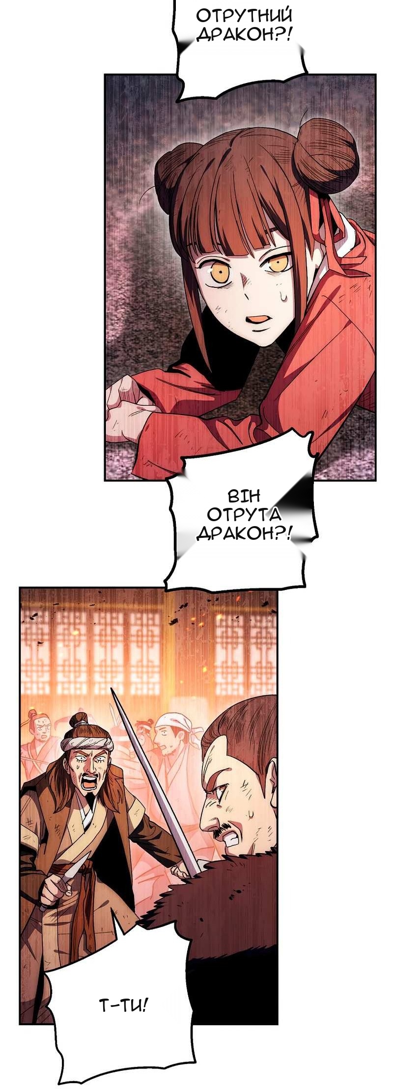 Сторінка 29