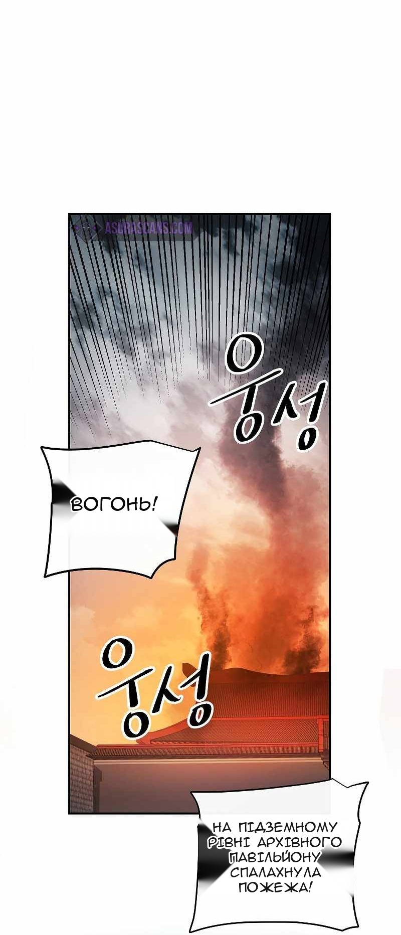 Сторінка 29