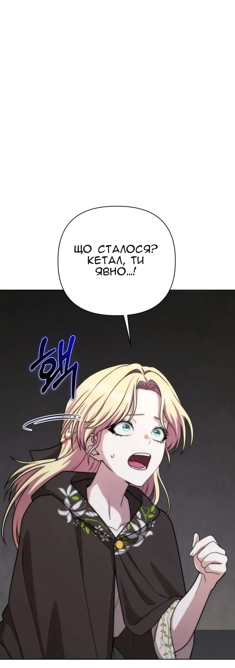 Сторінка 17