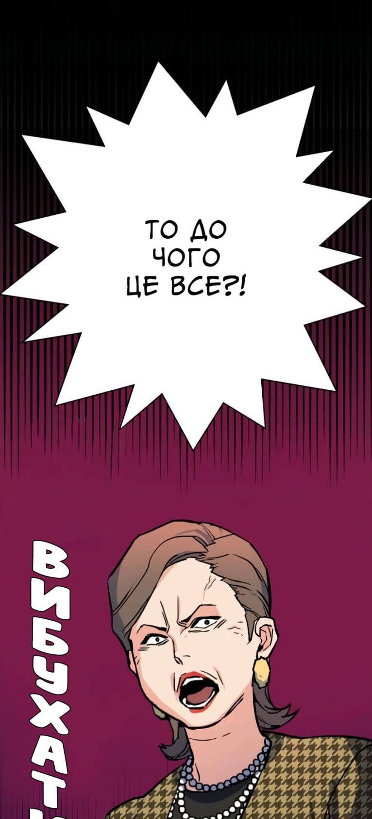 Сторінка 17