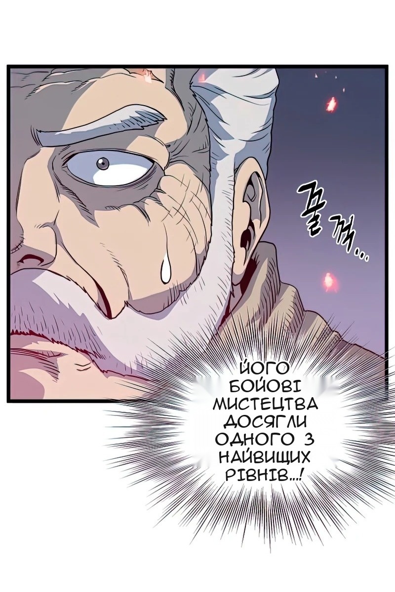 Сторінка 29