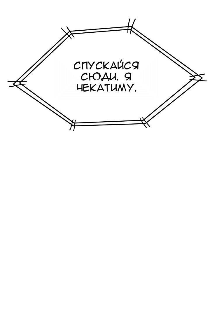 Сторінка 5