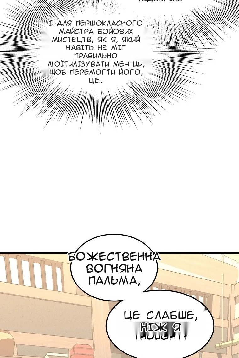 Сторінка 17