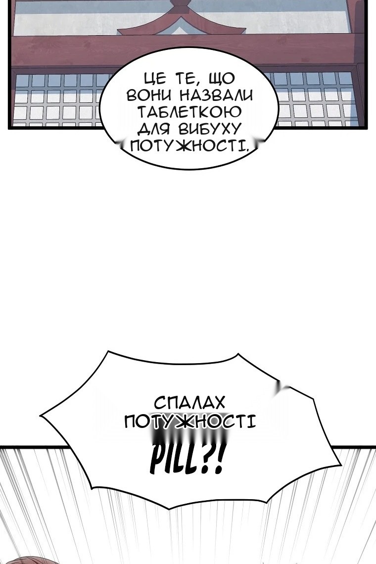 Сторінка 17
