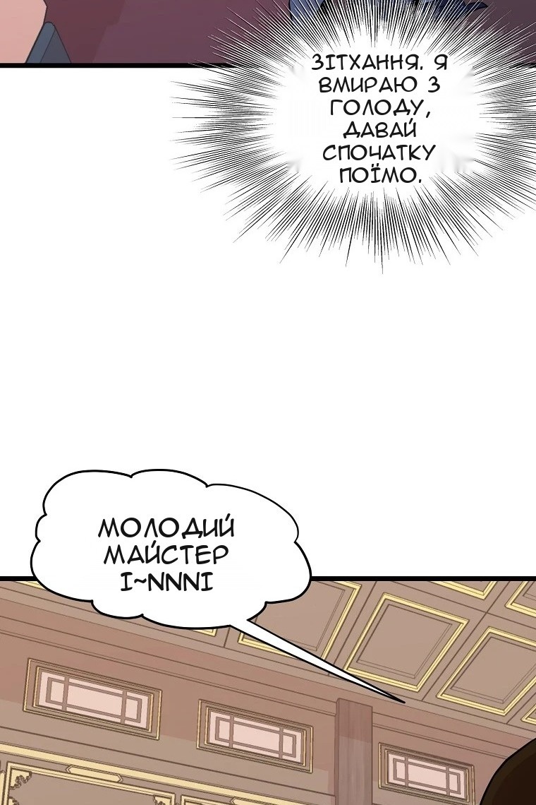 Сторінка 17