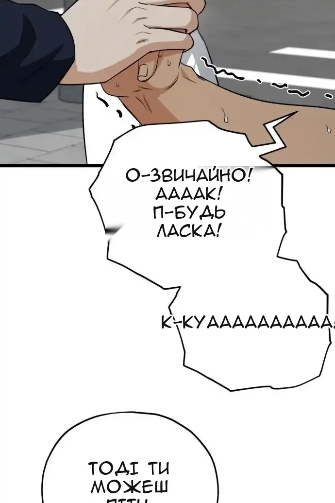 Сторінка 43