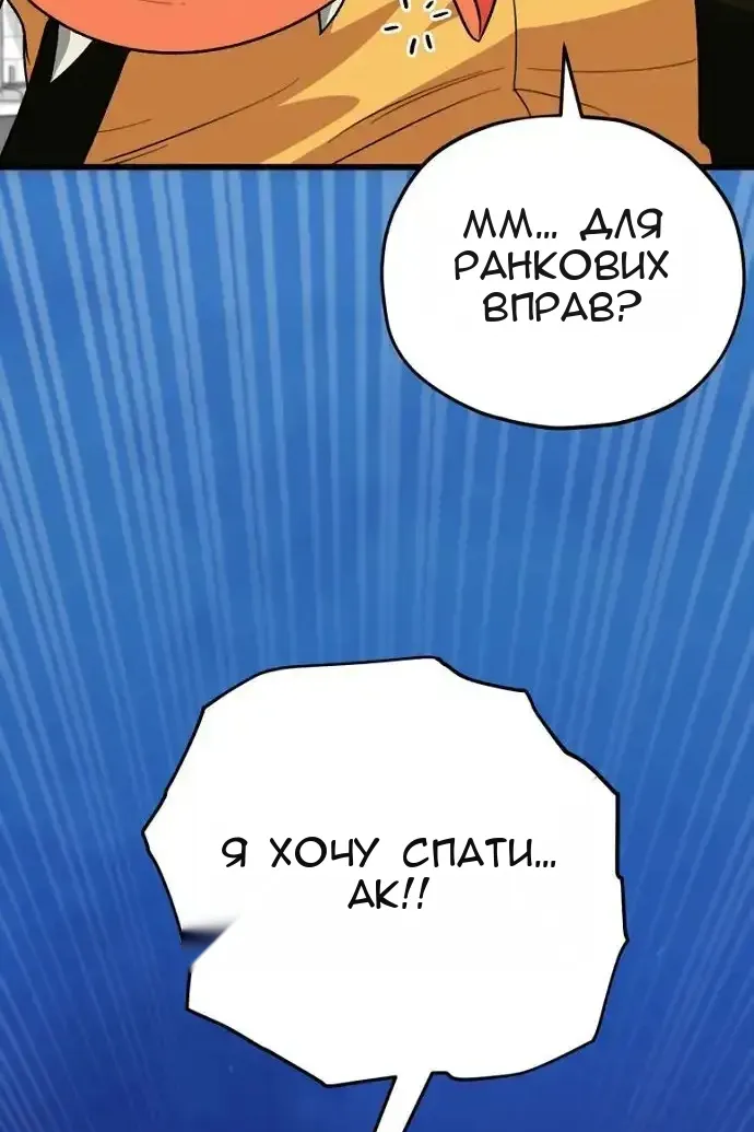 Сторінка 17