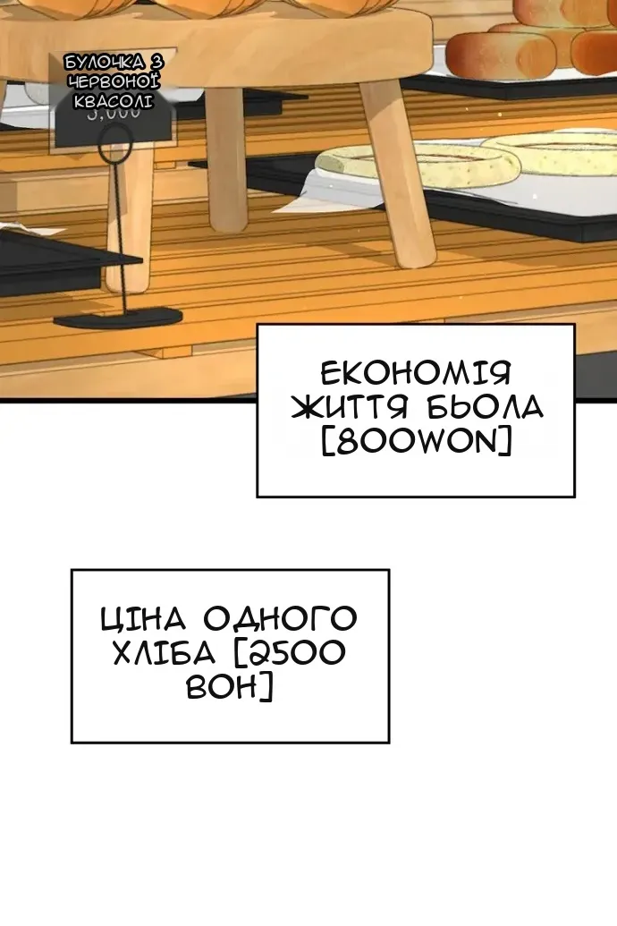 Сторінка 29