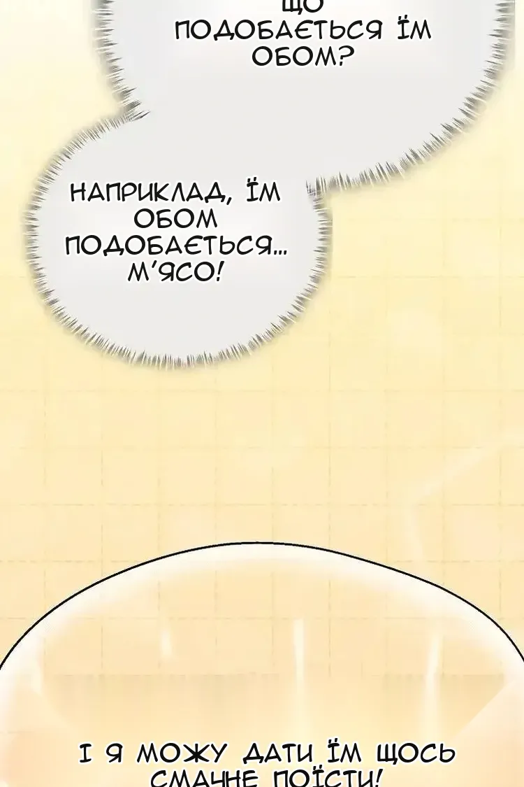 Сторінка 24