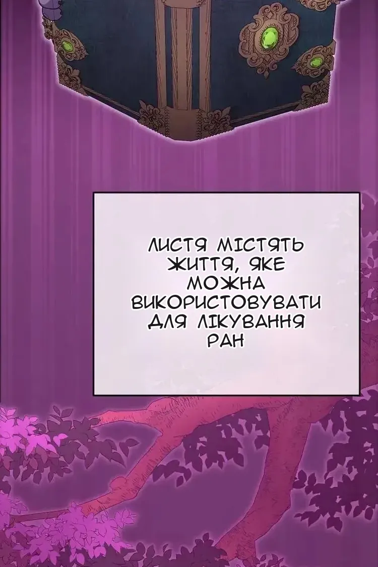Сторінка 47
