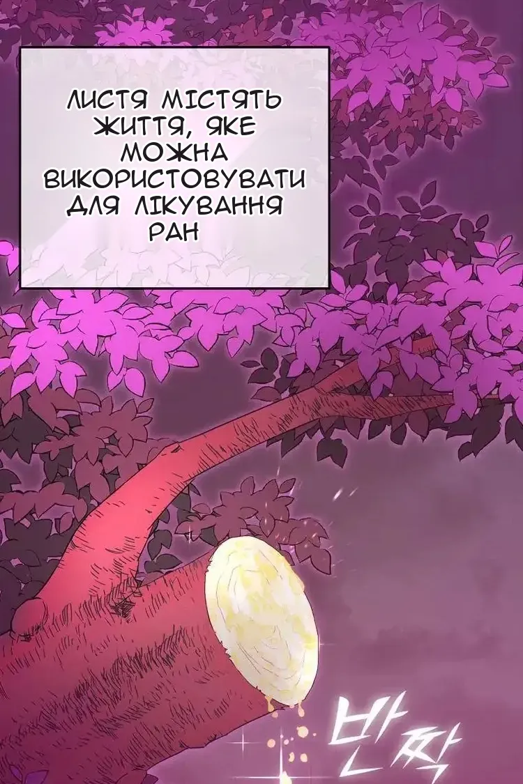 Сторінка 48