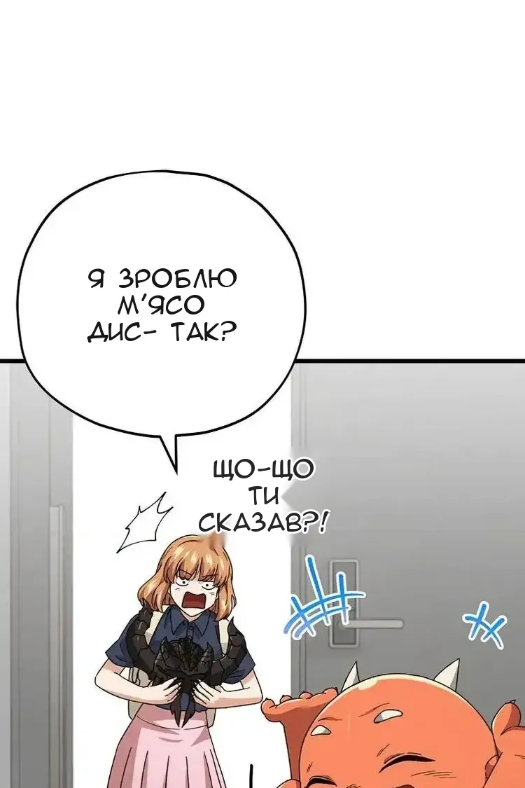 Сторінка 17
