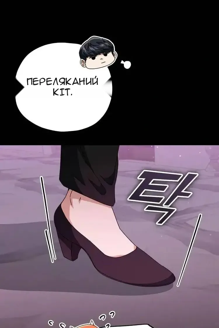 Сторінка 111