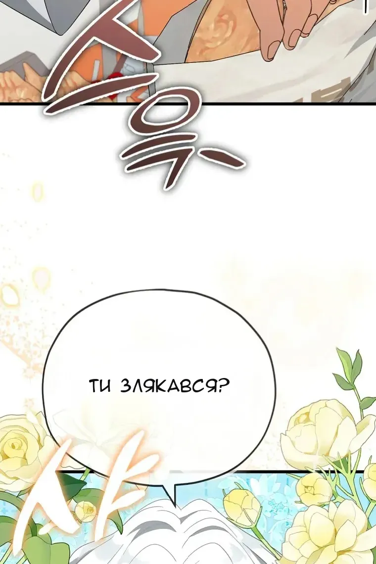 Сторінка 45