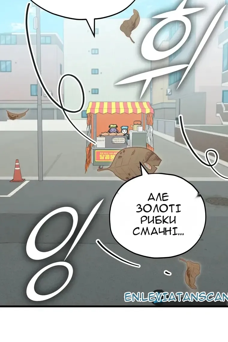 Сторінка 13