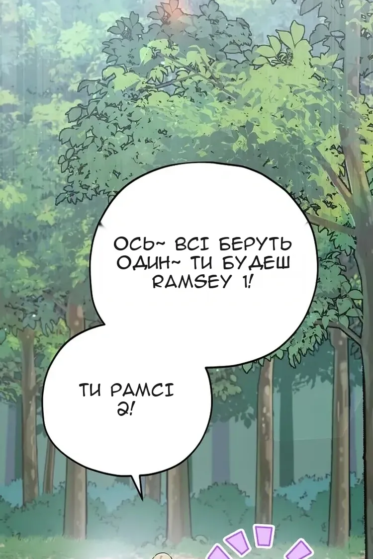 Сторінка 41