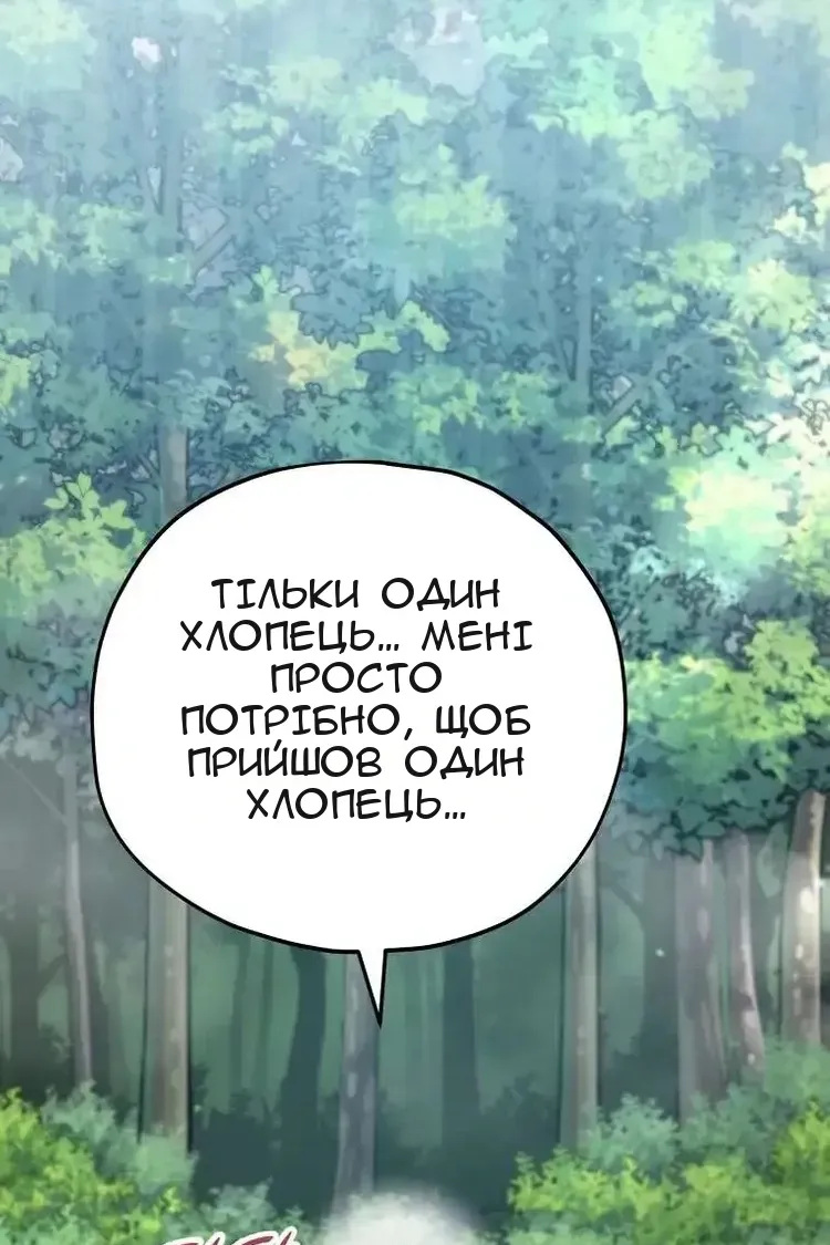 Сторінка 17