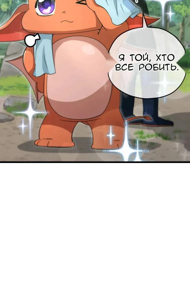 Сторінка 29
