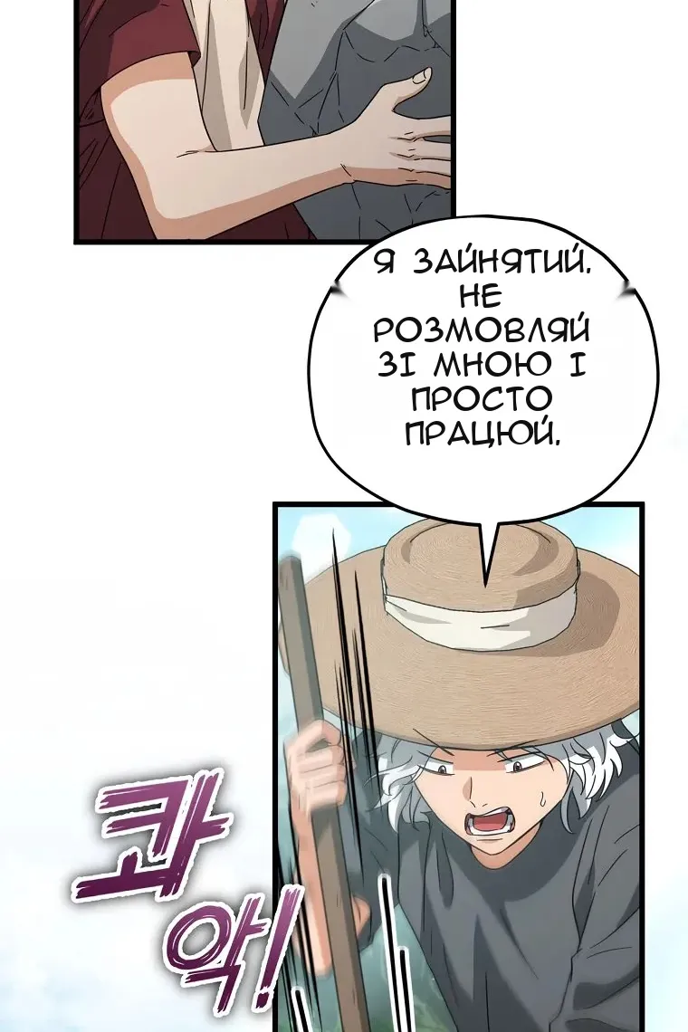 Сторінка 31