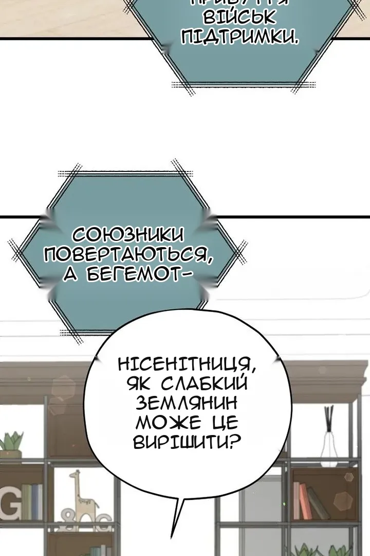 Сторінка 29