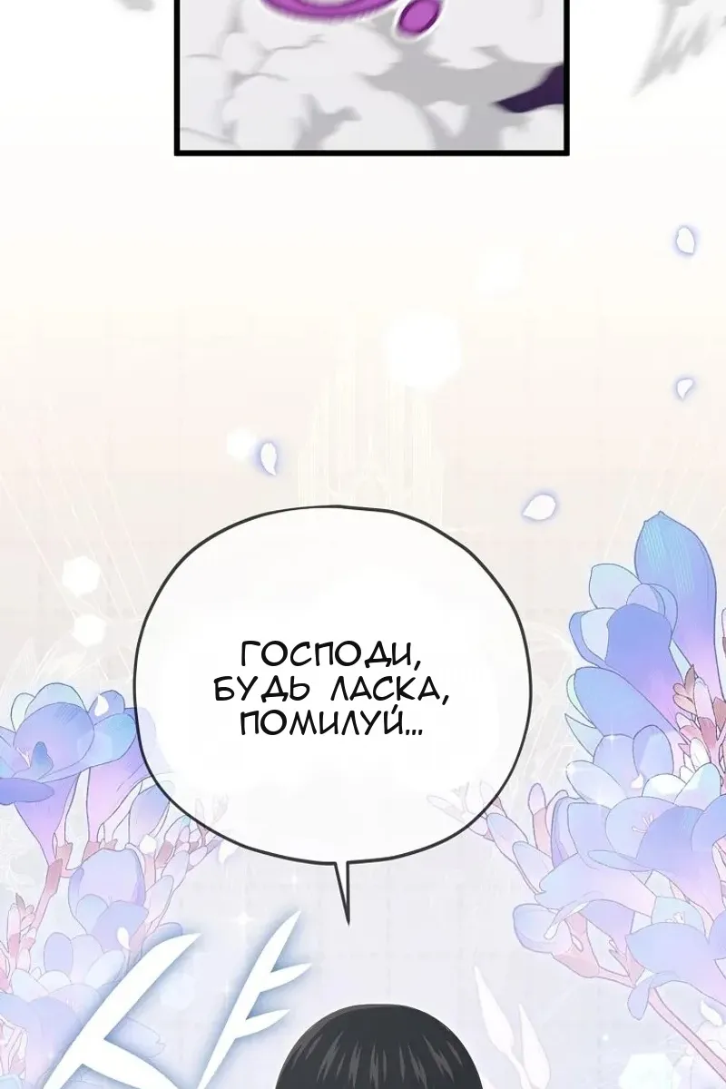 Сторінка 15