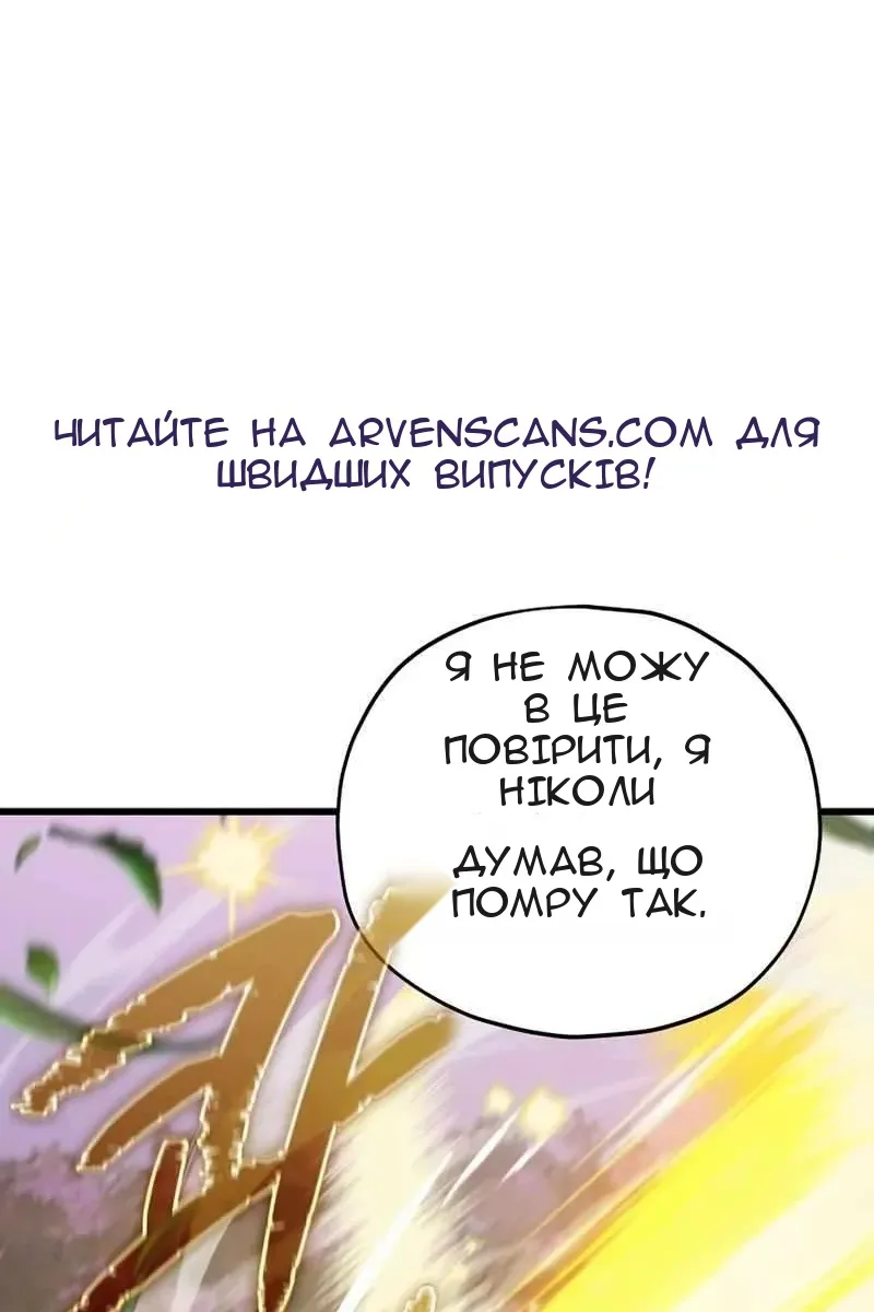 Сторінка 31