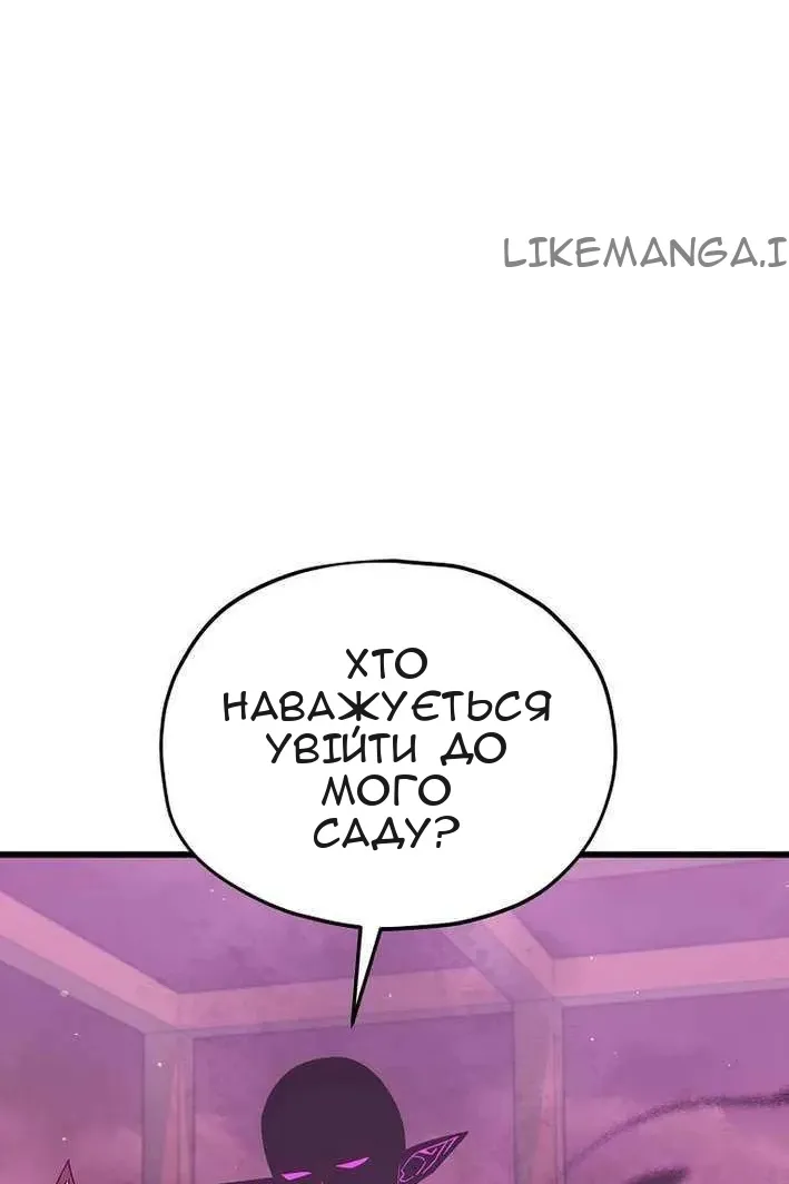 Сторінка 29