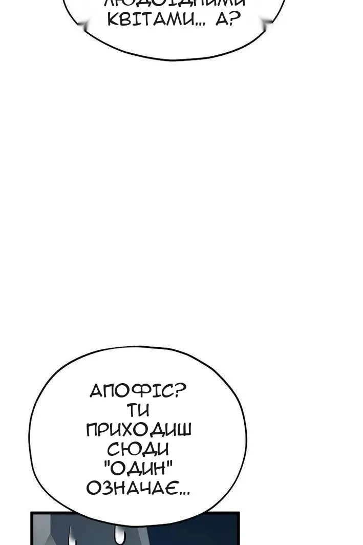 Сторінка 31