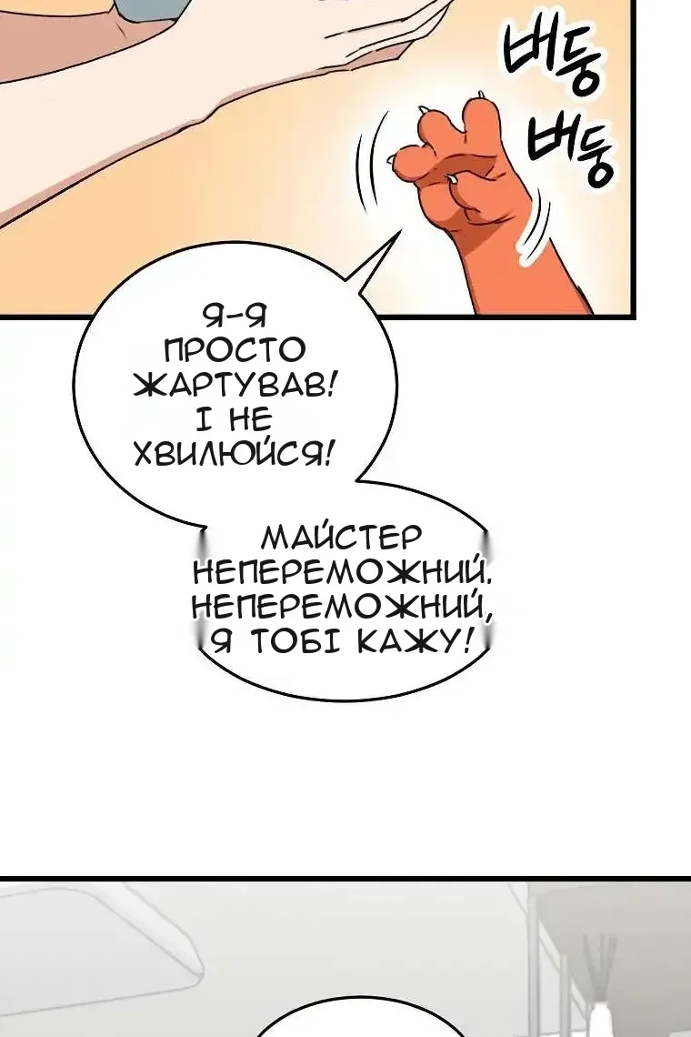 Сторінка 13