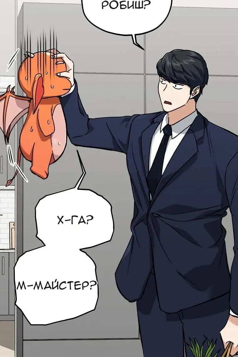 Сторінка 43