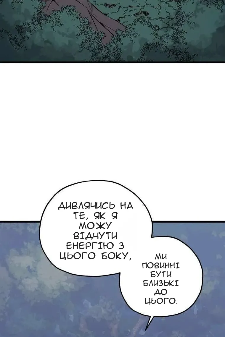 Сторінка 5