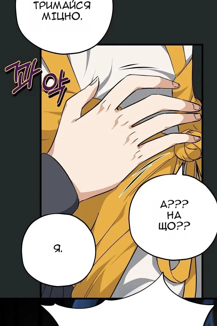 Сторінка 29