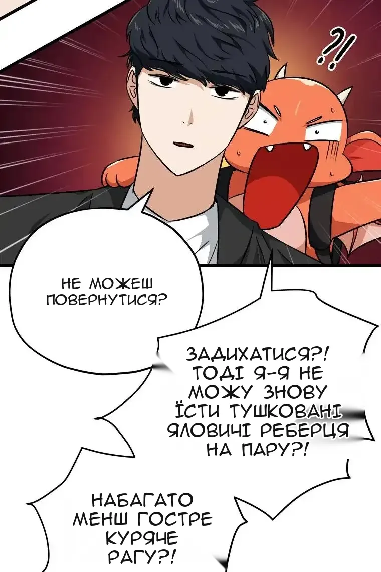 Сторінка 29