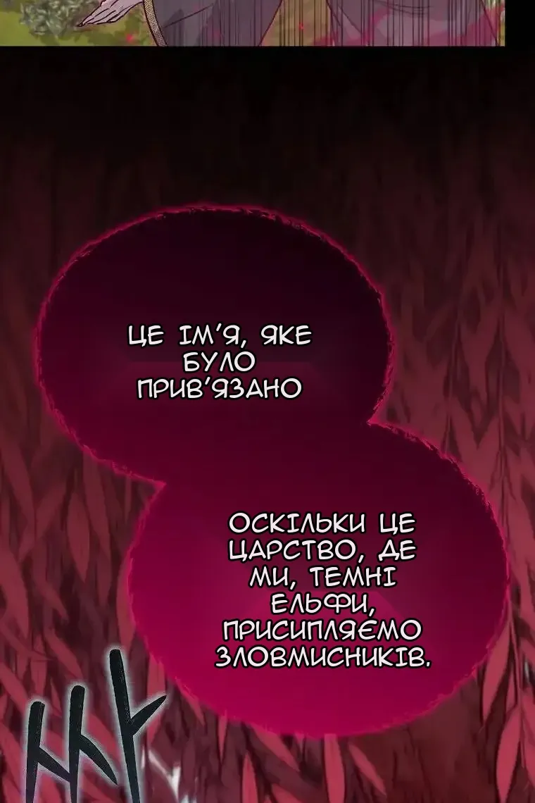 Сторінка 81